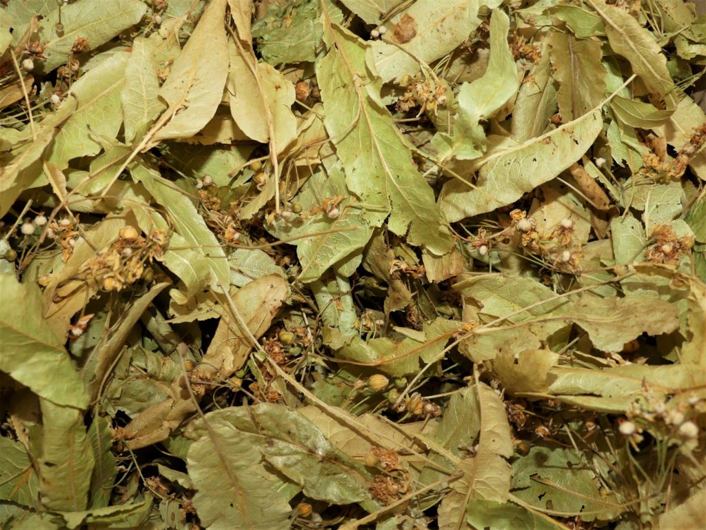 Tilleul (bractée) Herboristerie Naturaly Bailleul