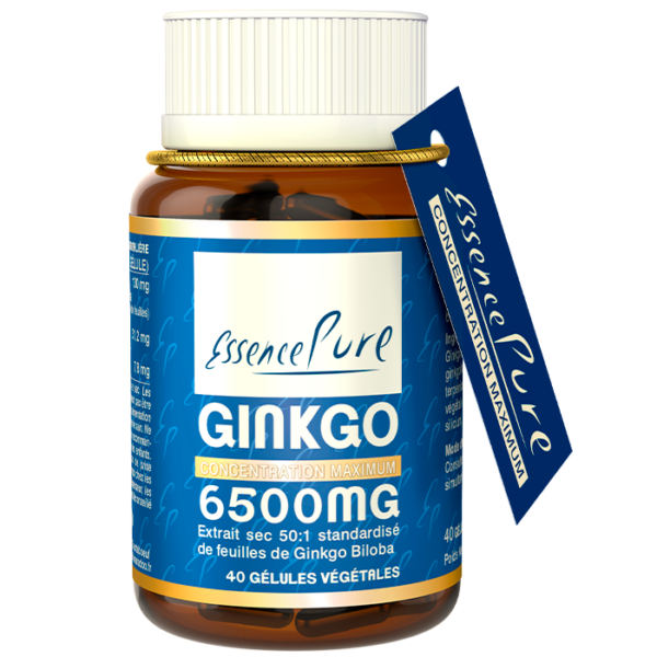 Ginkgo 40 gélules