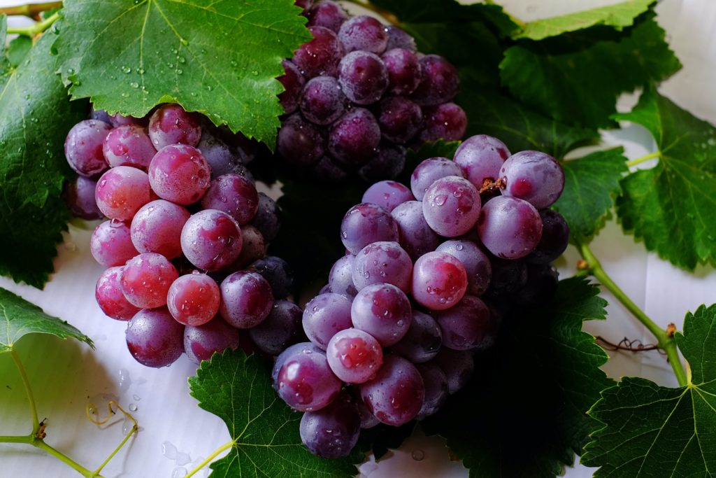 Vinaigres Herboristerie Naturaly Bailleul
Alimentaire