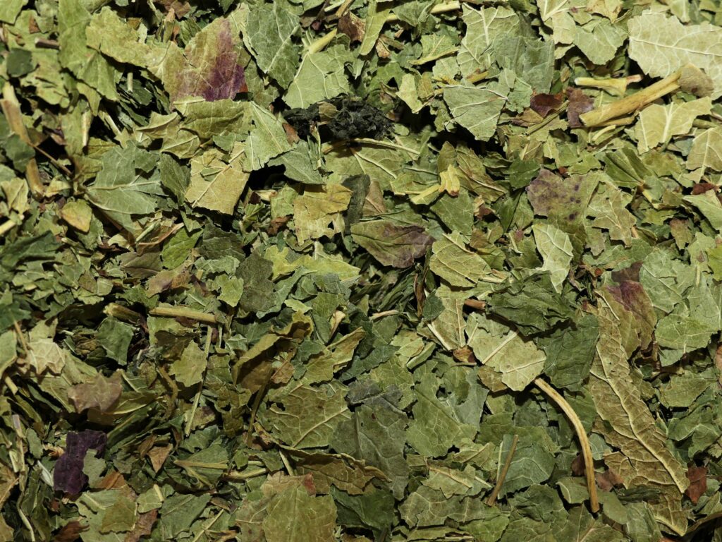 Cassis (feuille)