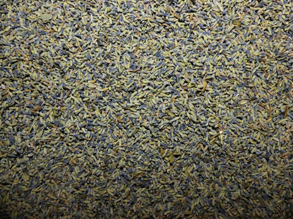 Lavande vraie fleur tisane 100 g Lavandula angustifolia plante aromatique en vrac Naturaly Bailleul