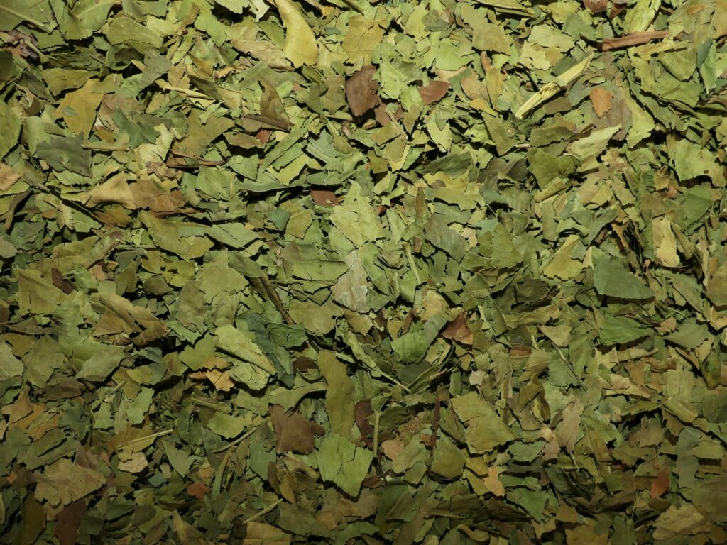 Oranger amer feuille 100 g tisane vrac Citrus aurantium bigaradier infusion Naturaly