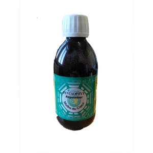 Maître du Cœur Pentaophyte Naturaly Bailleul medecine chinoise