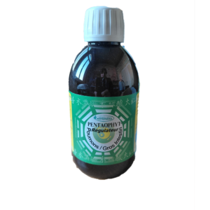 Régulateur Poumons / Gros Intestin 250 ml Pentaophyte BIO PhytoFrance Naturaly Bailleul.
