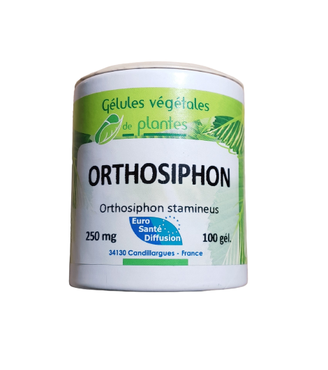 Orthosiphon 100 gélules