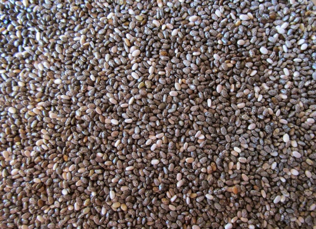 Graines de Chia Bio 250 g