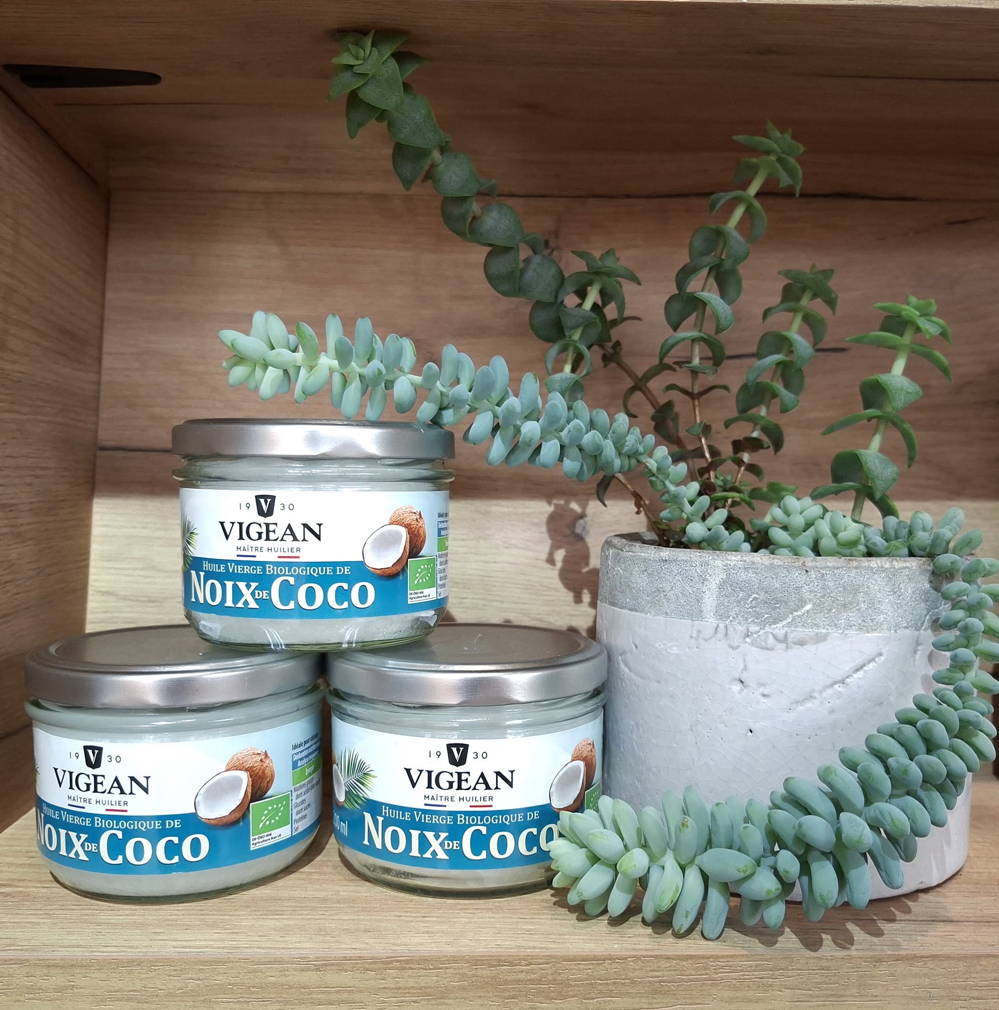 noix de coco vigean 200 ml flandres