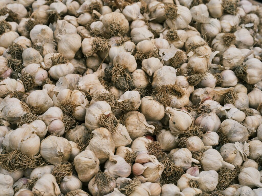 ail blanc