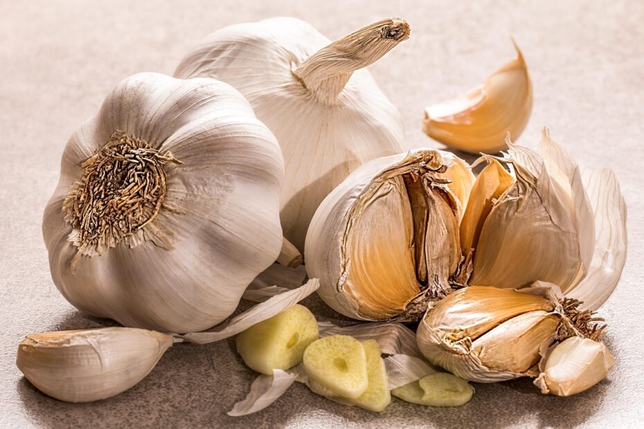 Ail Blanc bulbes herboristerie