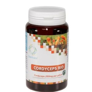 Cordyceps 90 gélules énergie testostérone sport forme fatigue