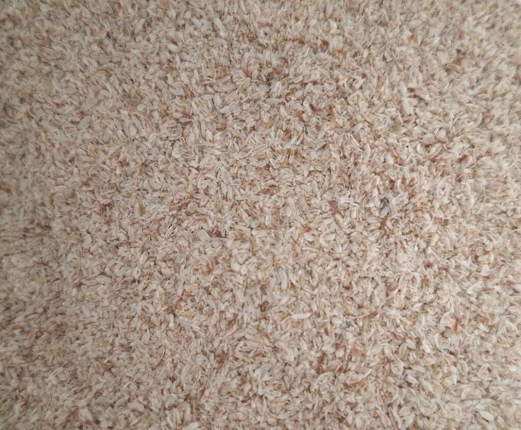 Psyllium blond (tégument) 200 g Plantago ovata fibres solubles mucilages vrac graines enveloppe gel naturel complement alimentaire haute qualite