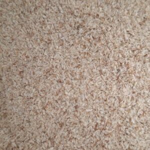 Psyllium blond (tégument) 200 g Plantago ovata fibres solubles mucilages vrac graines enveloppe gel naturel complement alimentaire haute qualite