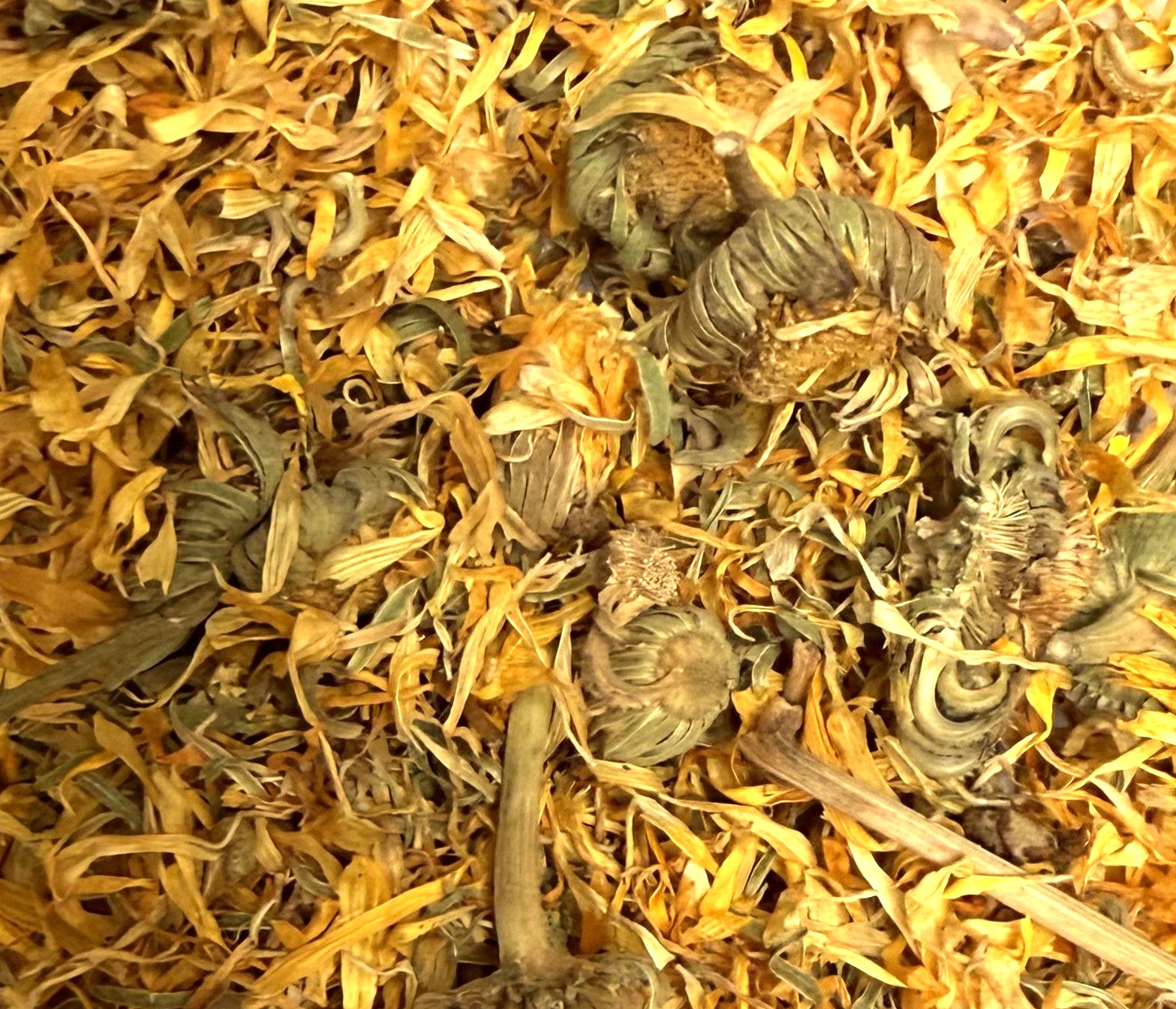 Souci (fleur) 50 g