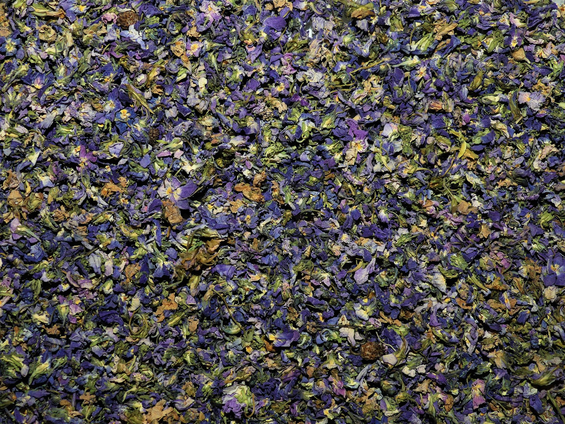 Violette (fleur) 25 g