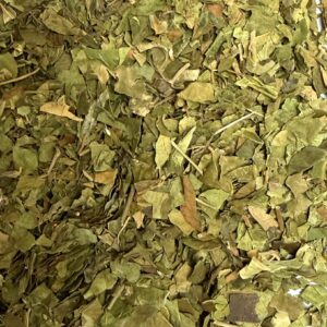 Feuilles de Gymnema sylvestre en vrac 100 g pour infusion, également appelé Gurmar