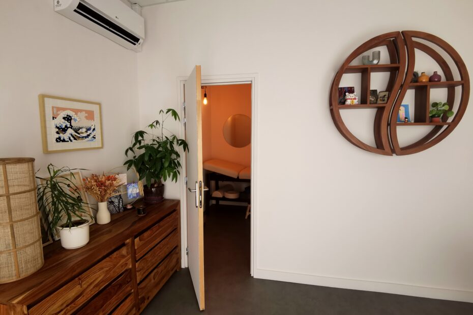 acupuncture pratique naturelle dans les flandres