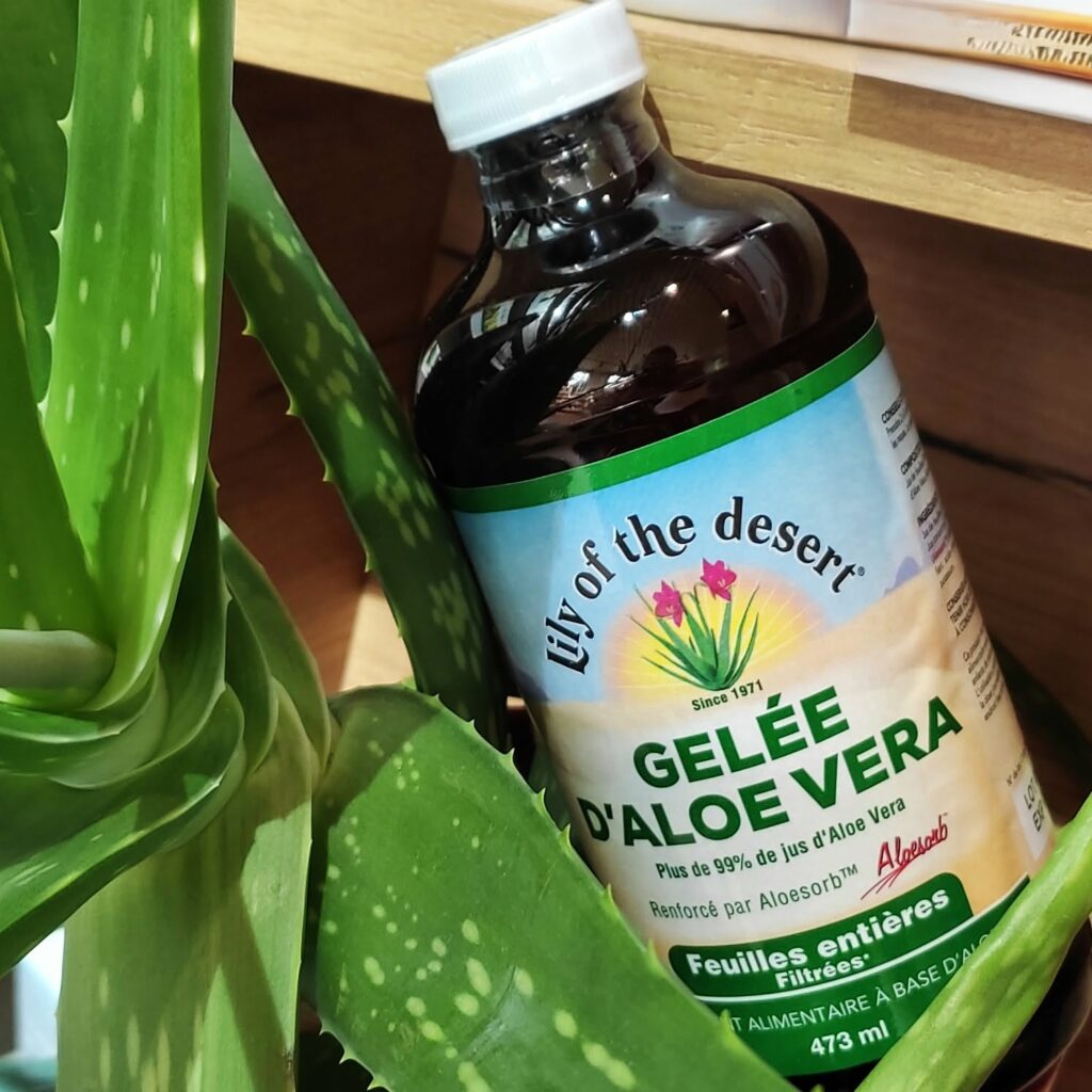 aloe vera gelée naturelle naturaly