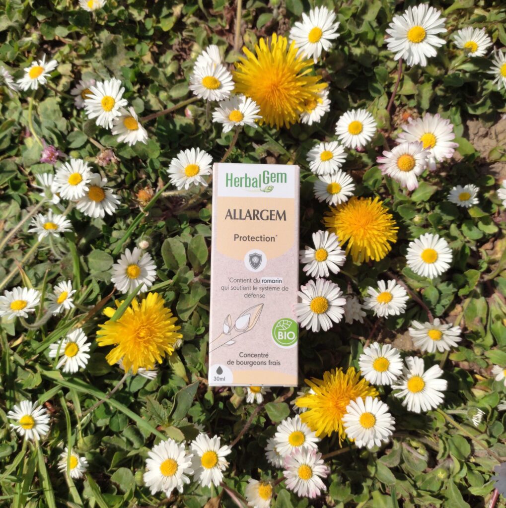 pissenlit et allergies bailleul