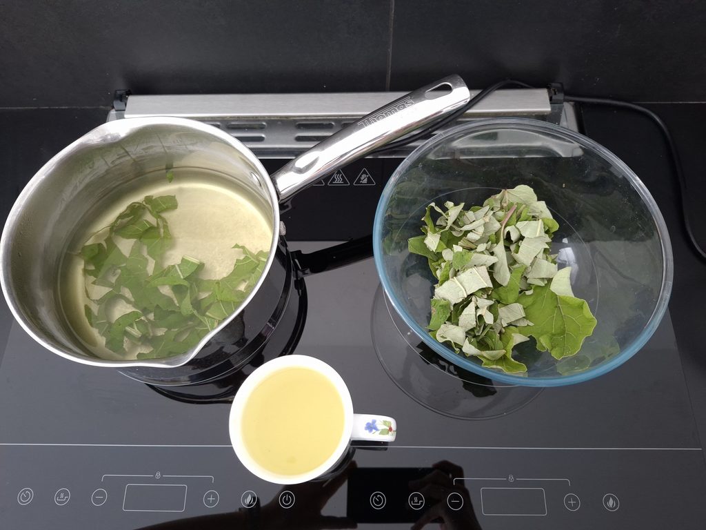 infusion de feuilles de bardane neuf berquin