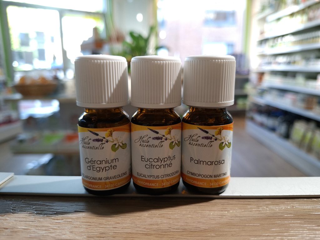Huiles essentielles et moustiques : Géranium d'Égypte, Eucalyptus citronné et Palmarosa, trois huiles essentielles présentées dans les conseils de Naturaly.